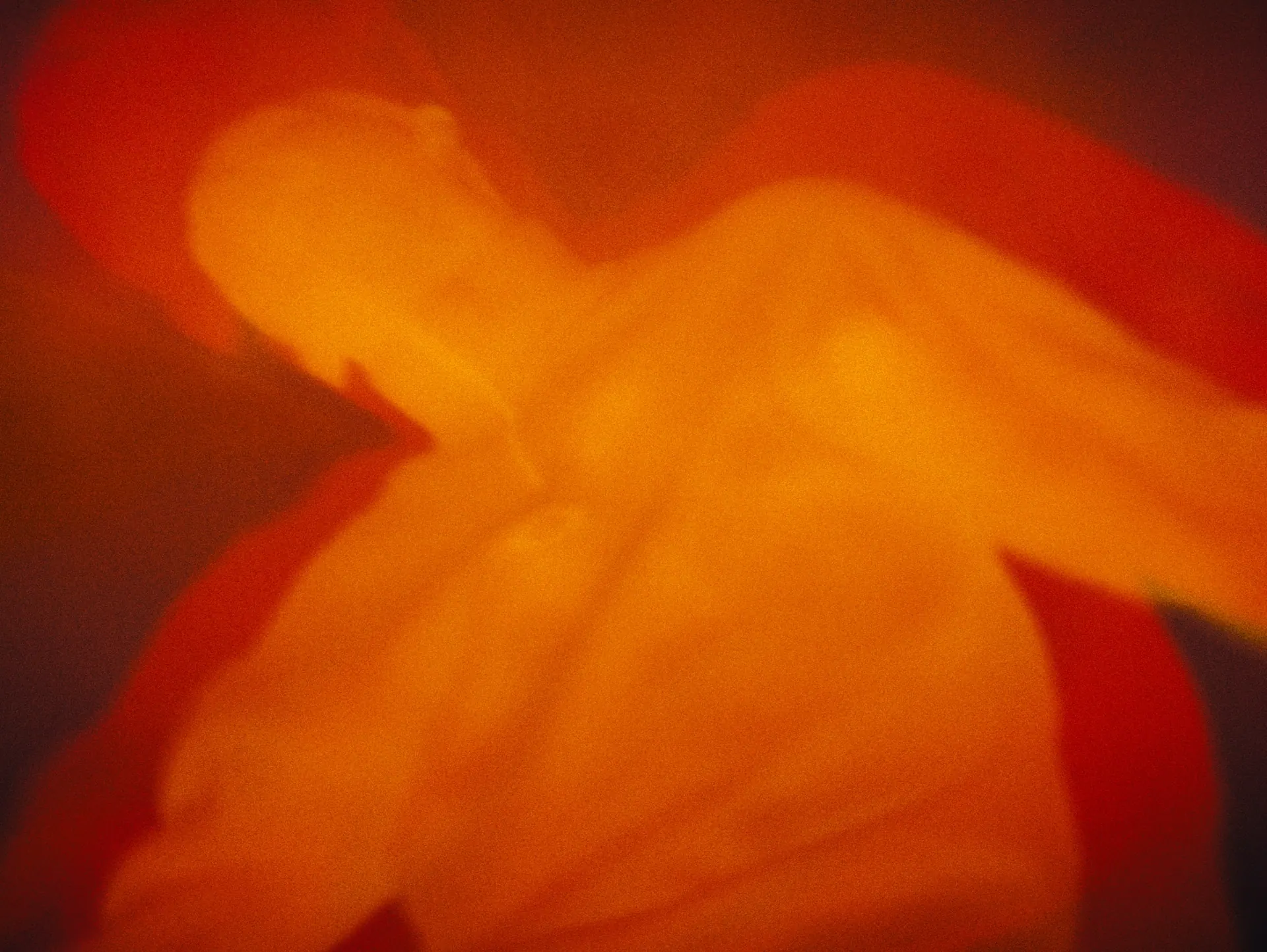 Image 8 sur 24 — Igor — Demain sera plus beau