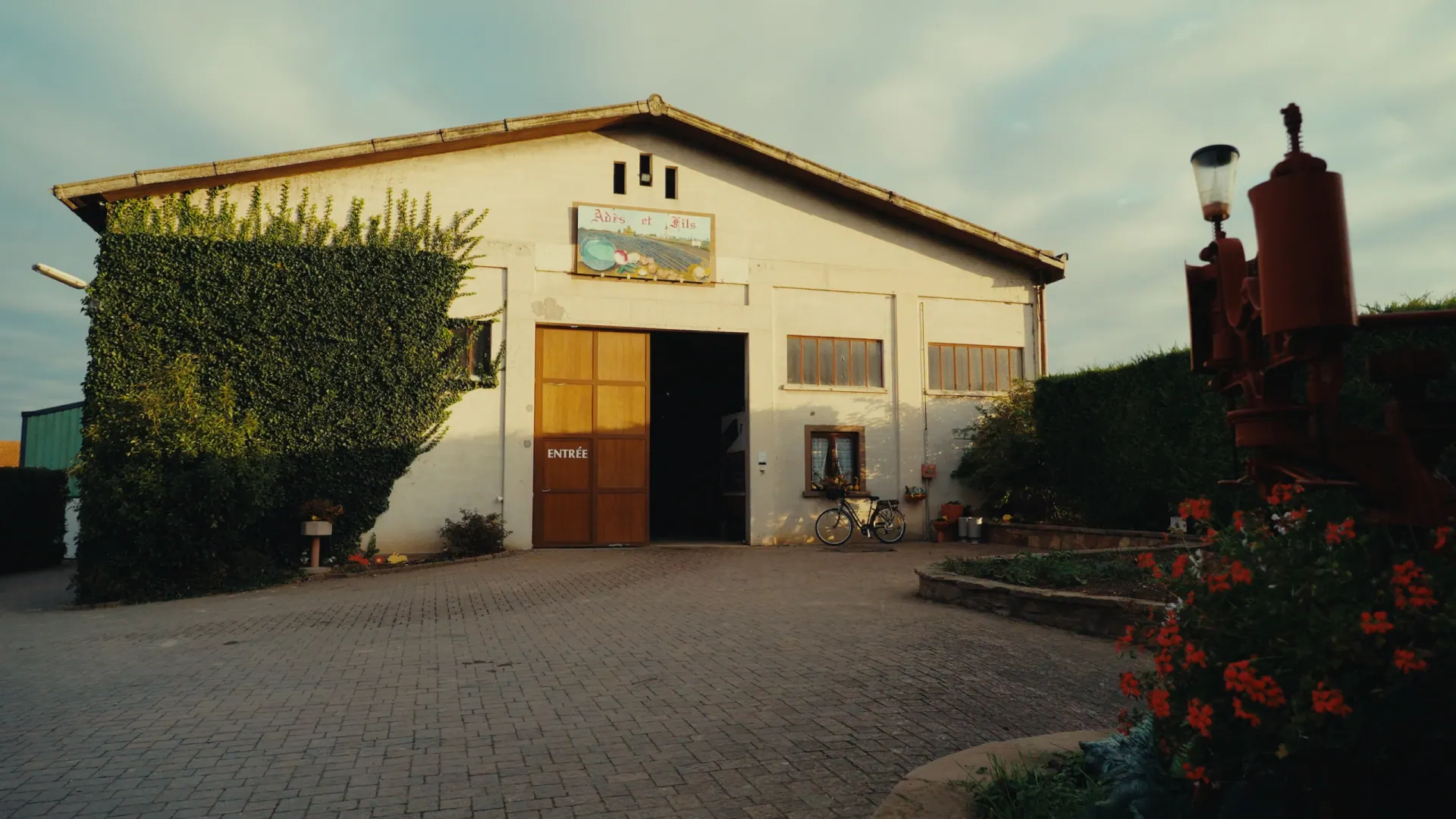 Image 1 sur 24 — L'Odyssée du Chou