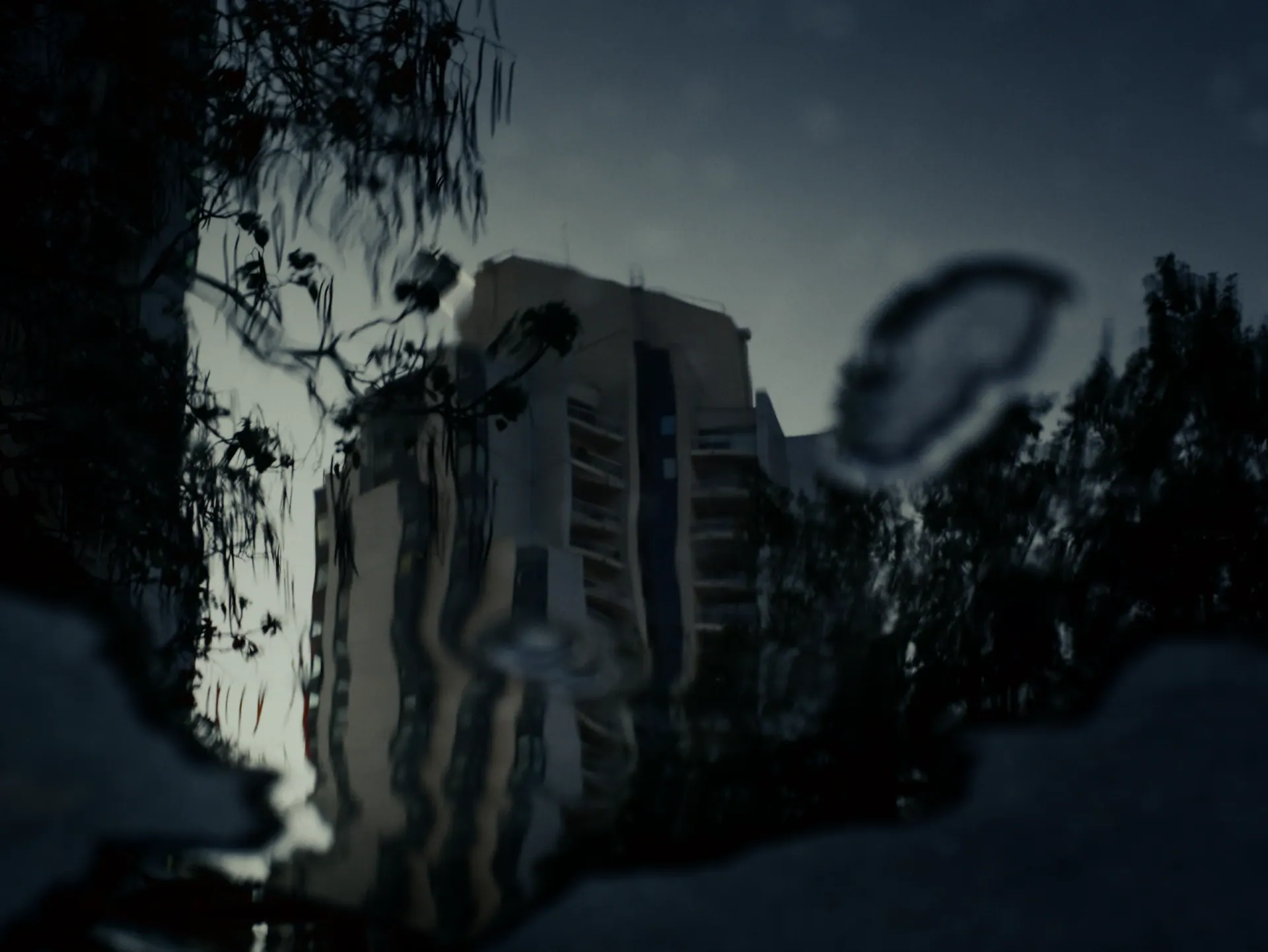 Image 3 sur 16 — Sroka — Distance.s