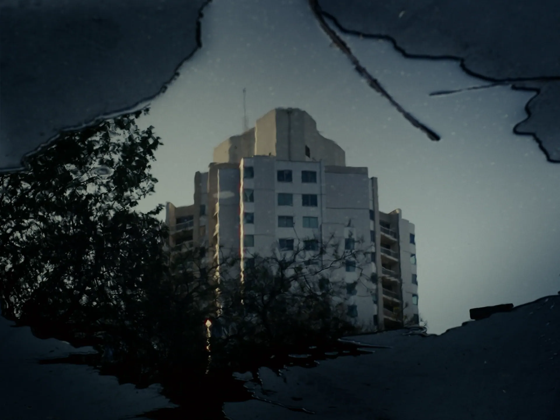 Image 4 sur 16 — Sroka — Distance.s